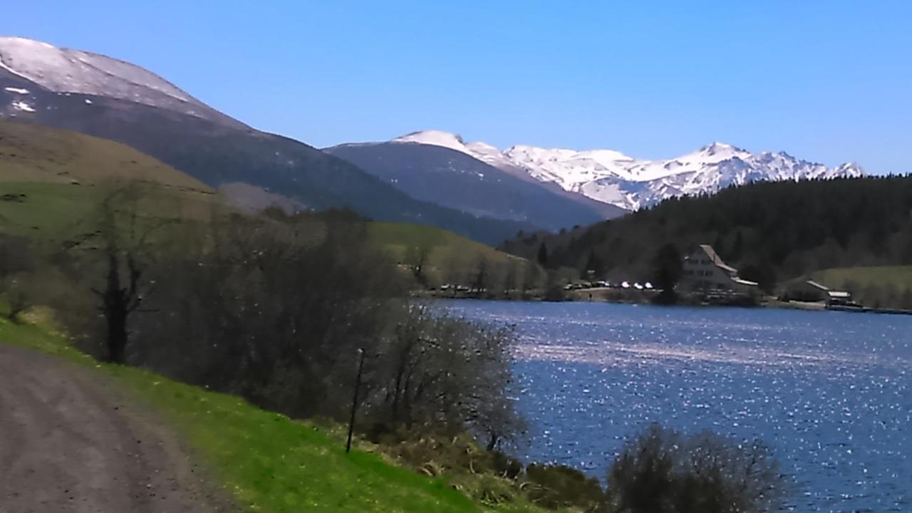 Tulipe, Appartement 5 Personnes, Entre Sancy Et Volcans D'Auvergne Orcival Eksteriør billede
