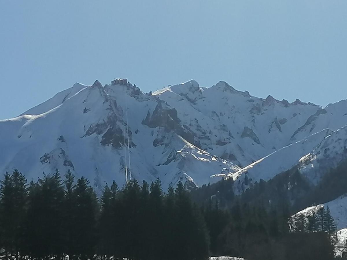 Tulipe, Appartement 5 Personnes, Entre Sancy Et Volcans D'Auvergne Orcival Eksteriør billede