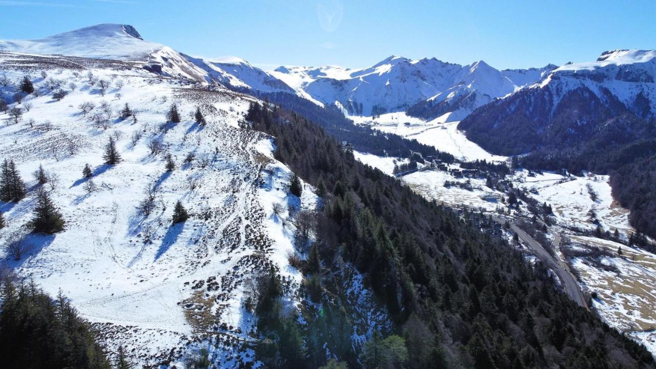 Tulipe, Appartement 5 Personnes, Entre Sancy Et Volcans D'Auvergne Orcival Eksteriør billede