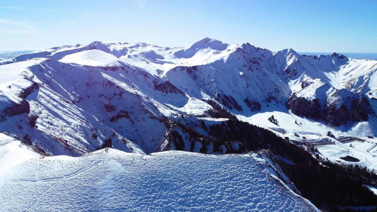 Tulipe, Appartement 5 Personnes, Entre Sancy Et Volcans D'Auvergne Orcival Eksteriør billede
