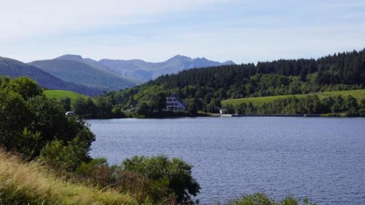 Tulipe, Appartement 5 Personnes, Entre Sancy Et Volcans D'Auvergne Orcival Eksteriør billede